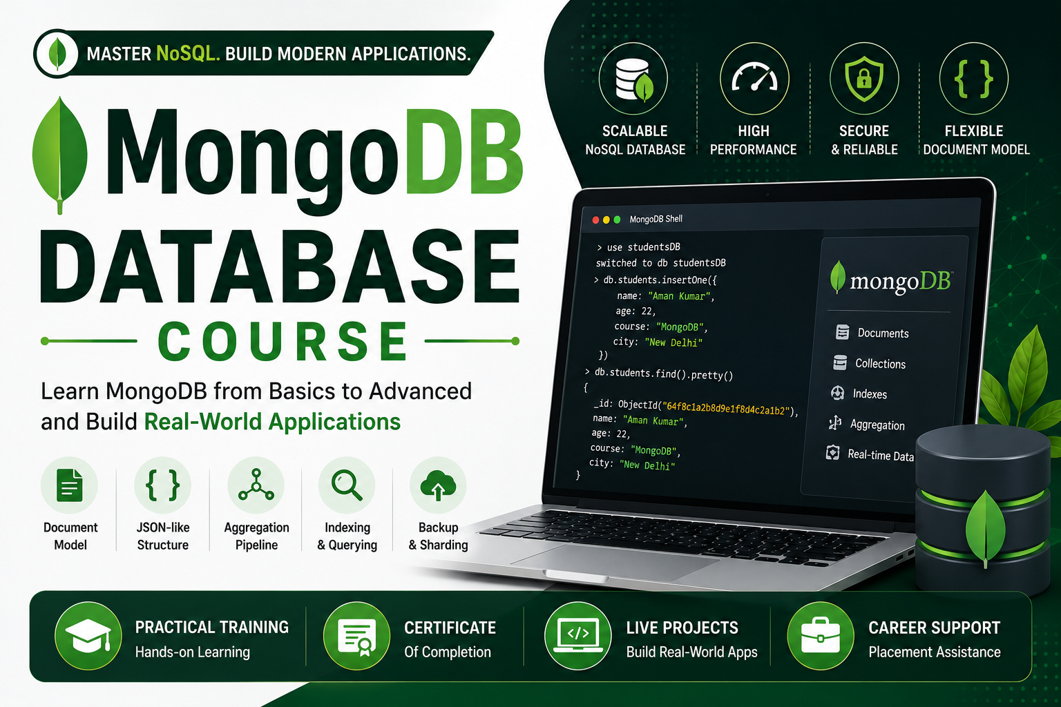 MongoDB Database Course